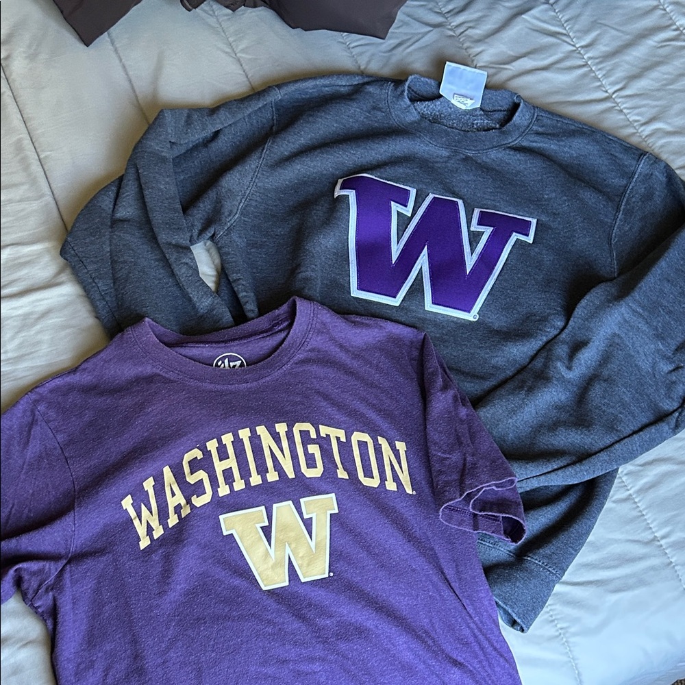 Champion Gray Sweatshirt with Purple 'W' Design